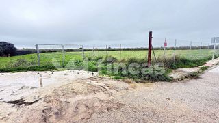 Terreno en venta en Umbrete