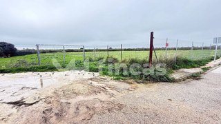 Terreno en venta en Umbrete
