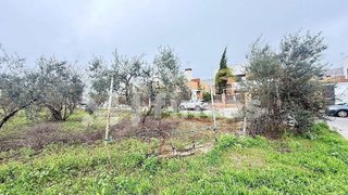 Terreno en venta en Umbrete