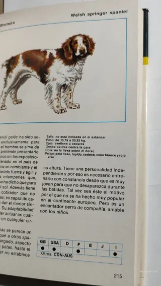 Perros de todo el mundo