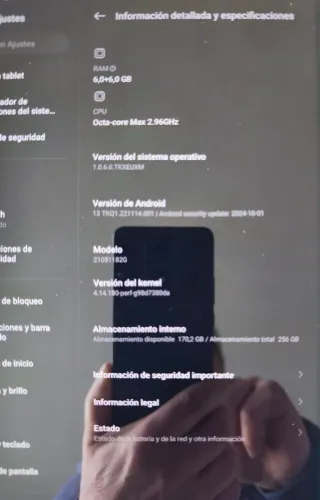Xiaomi Pad 5 Negro 256 GB + Stylus original Xiaomi