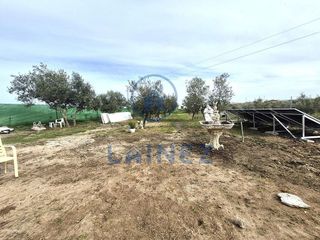 Terreno en venta en Hinojosa del Duque