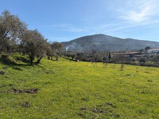 Solar en venta en Plasencia