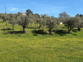 Solar en venta en Plasencia