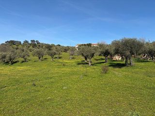 Solar en venta en Plasencia