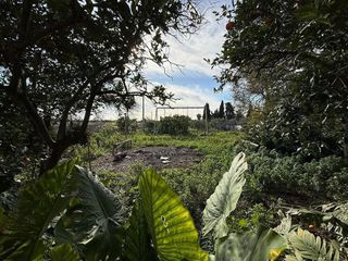 Casa rural en alquiler en Pont d'Inca en Marratxí