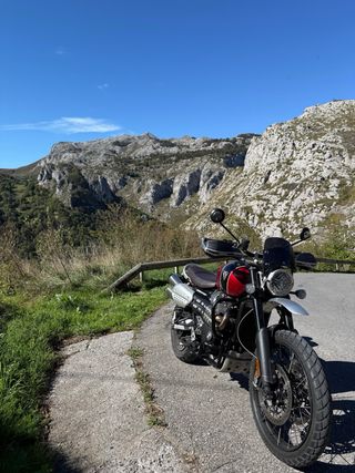 Kit paramanos Triumph Scrambler 1200 Originales