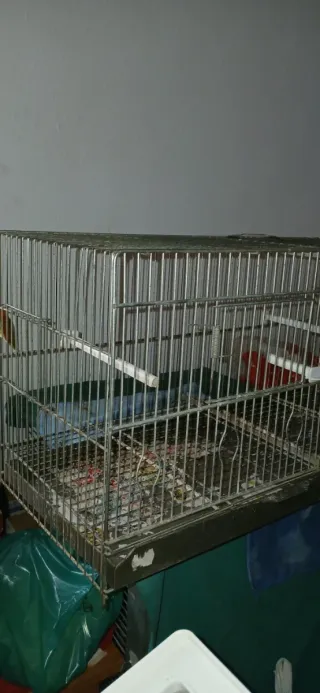 Jaula para pájaros metálica 60
