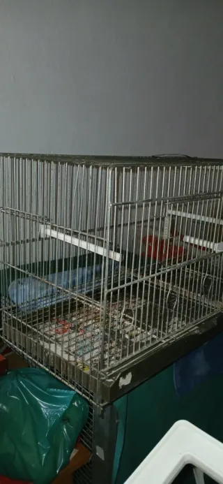 Jaula para pájaros metálica 60