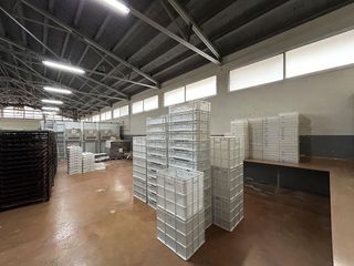 Nave industrial en venta en Nord en Sant Carles de la Ràpita