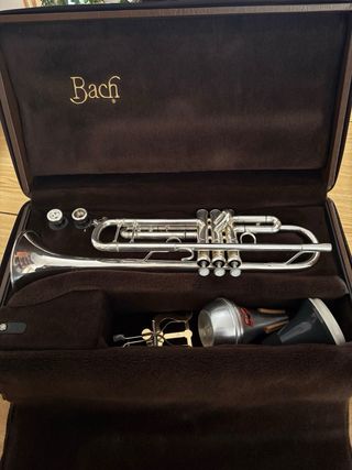 Maletín Trompeta Stradivarius