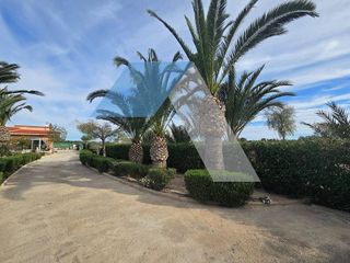 Chalet en venta en Las Bayas en Elche