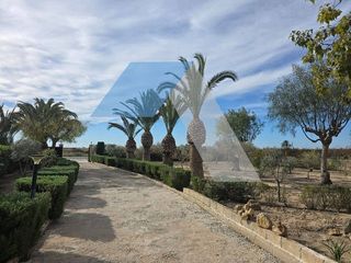 Chalet en venta en Las Bayas en Elche