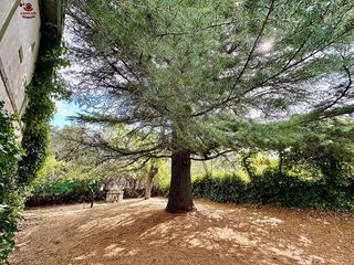 Chalet en venta en Molinos (Los)