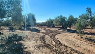 Terreno en venta en Bailén