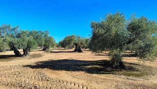 Terreno en venta en Bailén