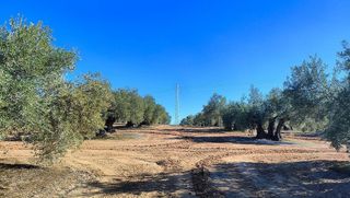 Terreno en venta en Bailén