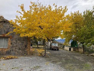 Solar en venta en Aljomahima - Ermita en Gabias (Las)