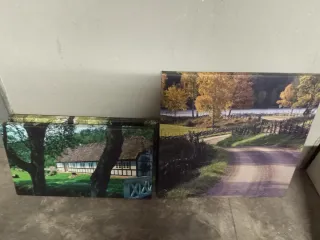 Cuadro paisaje rural con flores