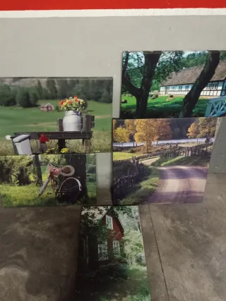 Cuadro paisaje rural con flores