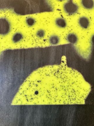 Tavola Snowboard Ride Twinpig 148cm