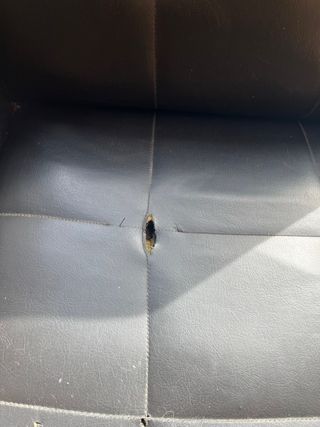 Poltrona Mid-Century Nera