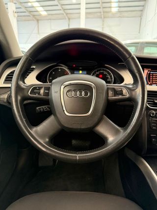 Audi A4 3.0 TDI 245cv S tronic quattro