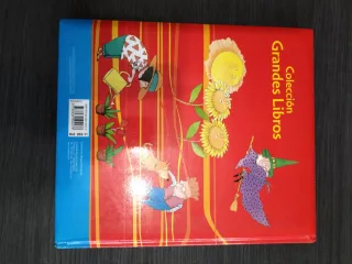 Libro de adivinanzas