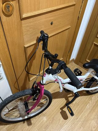Bicicleta Infantil 20 Pulgadas