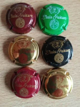 6 Bottiglie di Cava Lluís Guitart