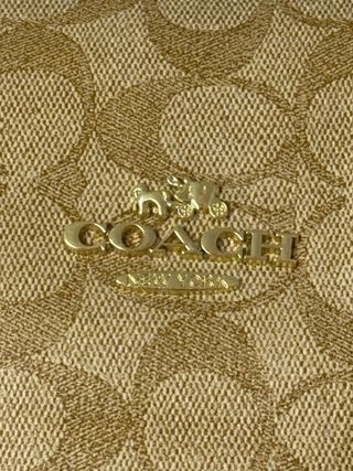 Borsa Coach New York Beige/Marrone