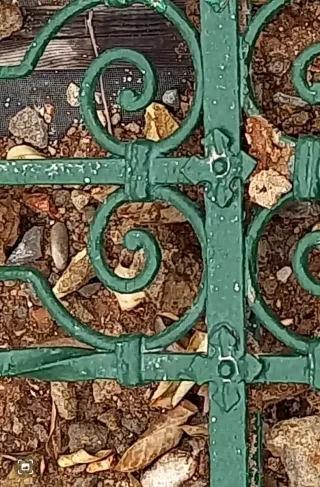 Reja antigua con detalles ornamentales