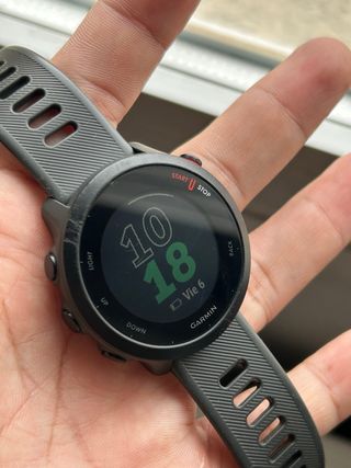 Reloj Garmin Forerunner 55 Negro/Gris