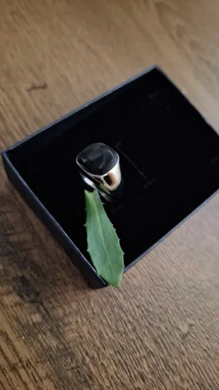 Lote Anillo y Cadena