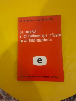 La empresa y los factores que influyen en su fu...