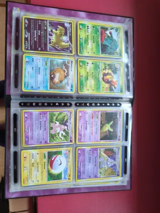 Àlbum Pokémon Frente Tormentoso Diamante y Perla