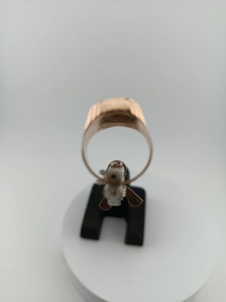 Anillo Oro Rojo Piedra Roja