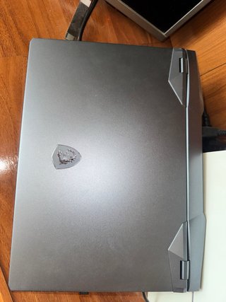 MSI GE66 Raider 3080 32GB 2TB NVME i7 11800H