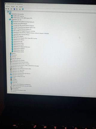 MSI GE66 Raider 3080 32GB 2TB NVME i7 11800H