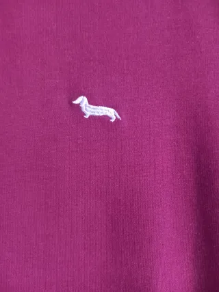 Polo Vietri manica lunga collo fantasia