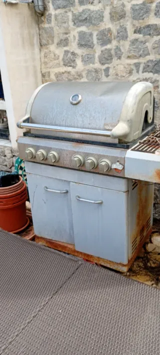 Barbacoa a gas grigio e argento