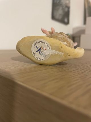 Fatina su lumaca Les Alpes