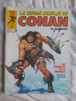 Cómic La Espada Salvaje de Conan El Bárbaro lote.