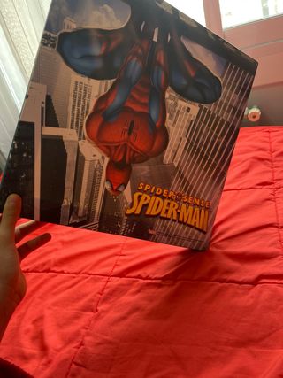 Cuadro Spiderman