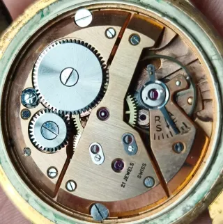 Reloj Control 21 Jewels Oro Negro