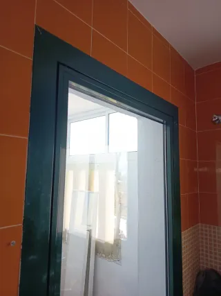 Puerta de aluminio verde y cristal