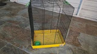 Jaula con bandeja amarilla