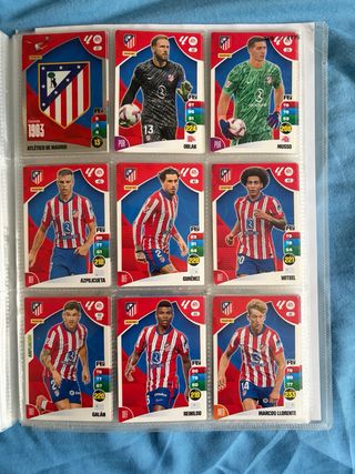Cromos Panini Adrenalyn XL 24-25