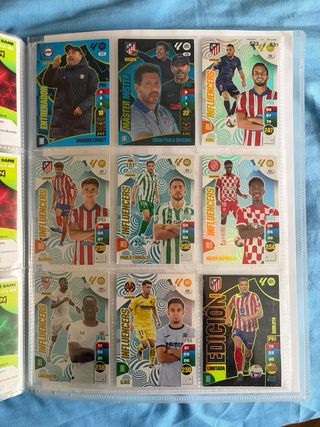 Cromos Panini Adrenalyn XL 24-25