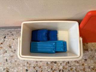 Nevera Térmica + placas hielo